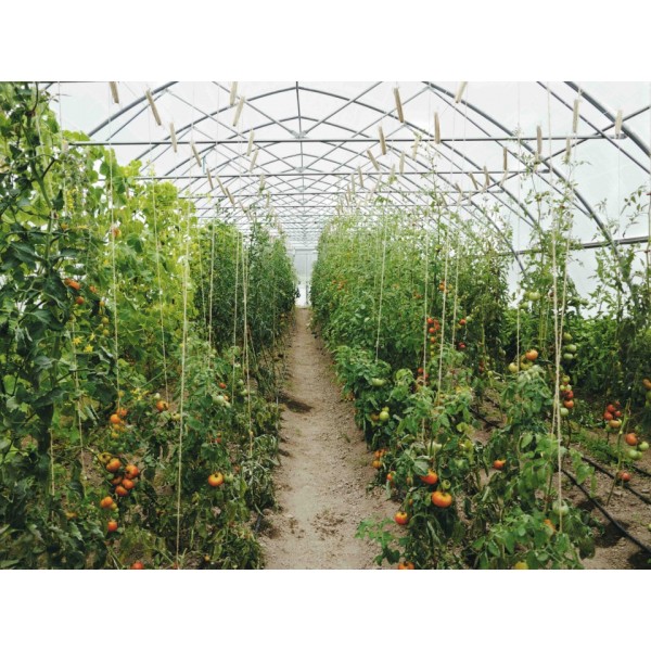 Mil Clear String Reinforced Greenhouse Plastic Farm Plastic Supply